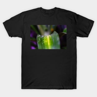 water on green plant T-Shirt